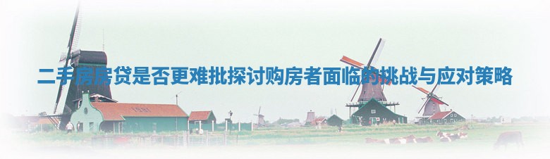 二手房房贷是否更难批 探讨购房者面临的挑战与应对策略